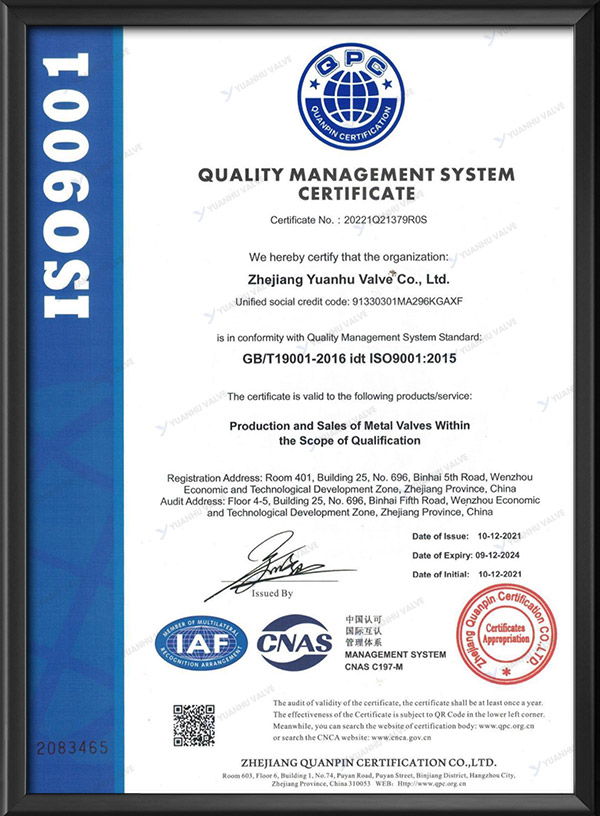 Quality management system certification - English