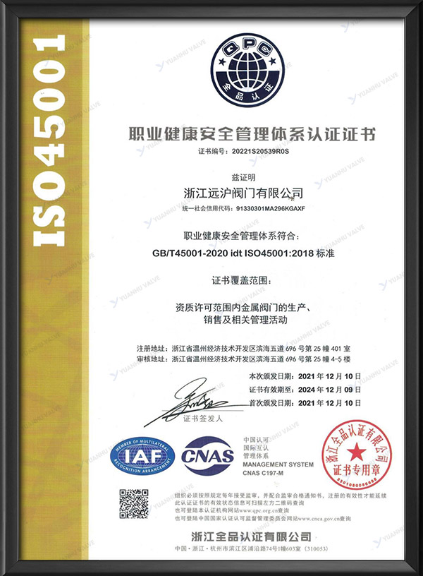 Occupational health and safety management system certification - Chinese