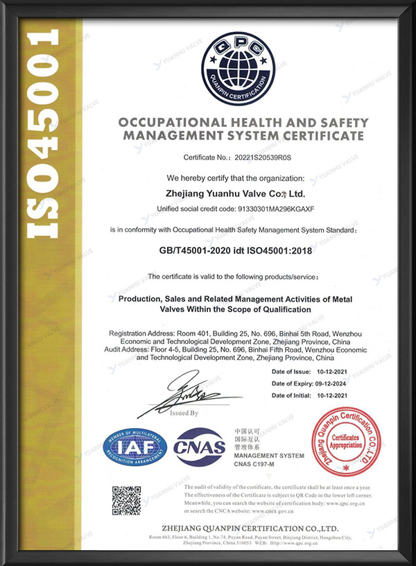 Occupational health and safety management system certification - English