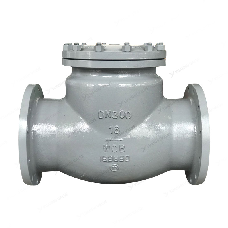 Cast steel check valve