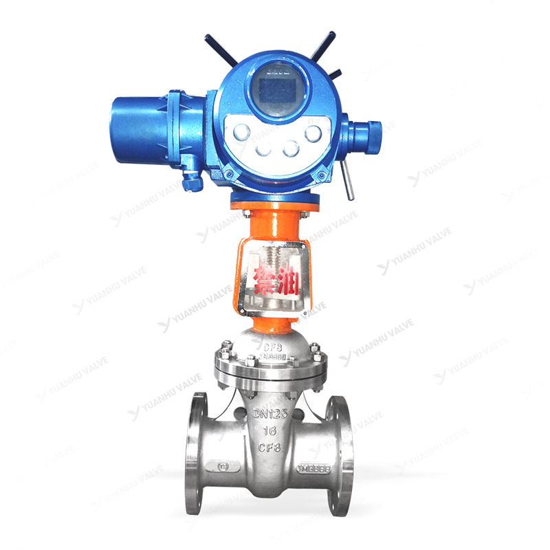 Electric oxygen gate valve